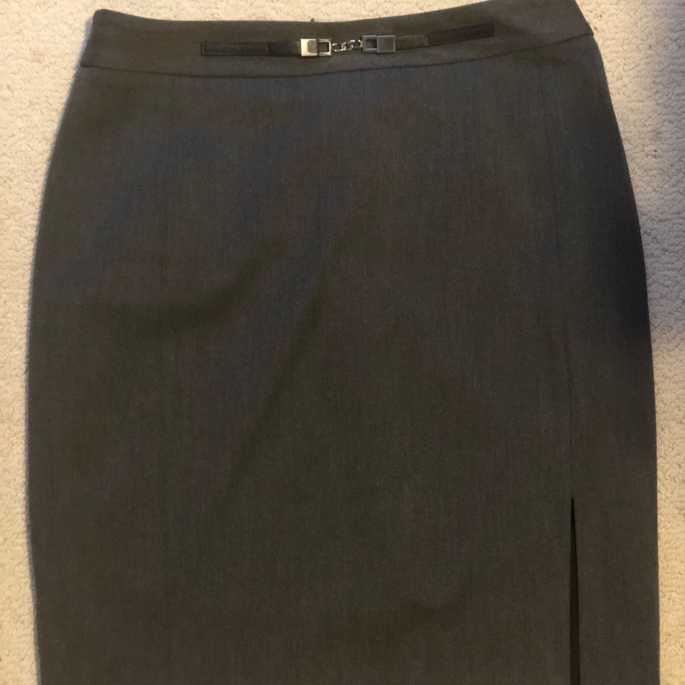 Express suit skirt